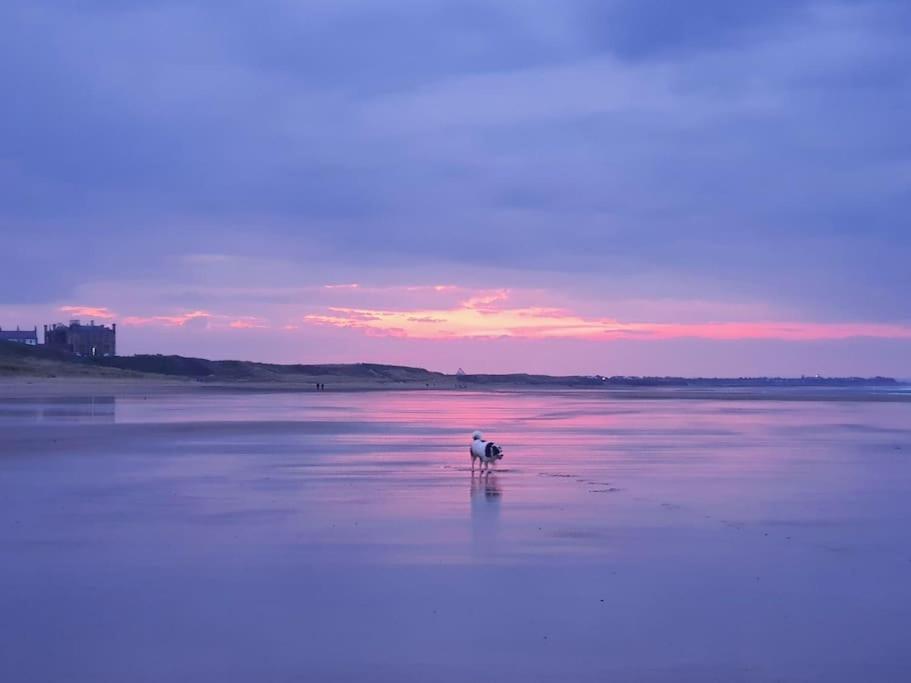 Sandstone Cottage Marske-by-the-Sea Extérieur photo